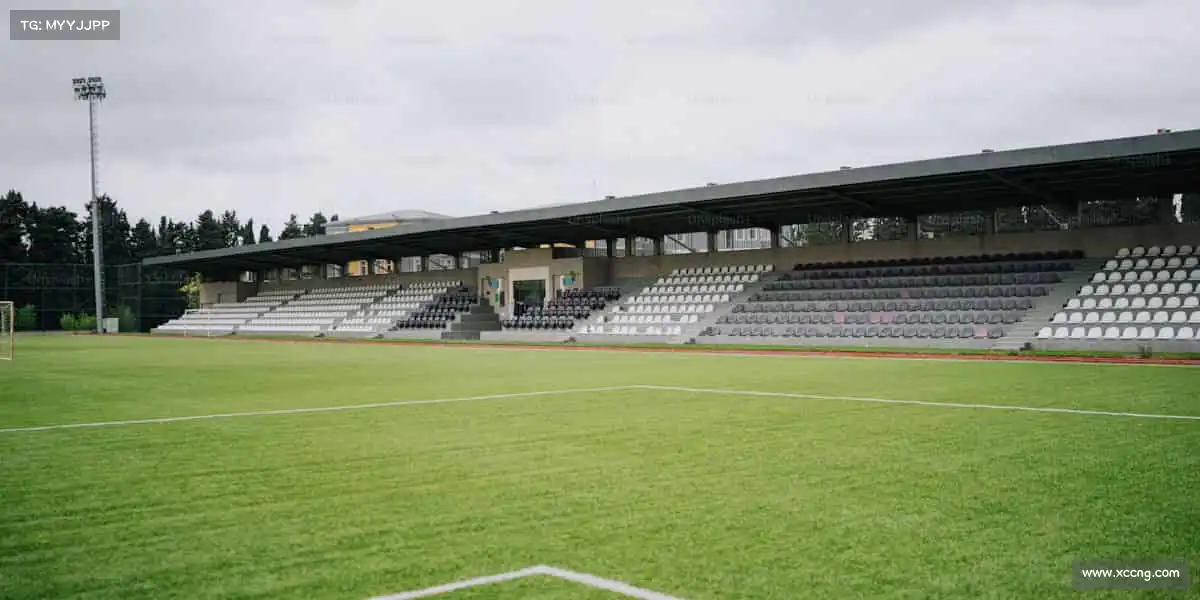 我们的核心竞争力